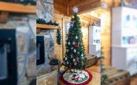 Bear Mountain Splash - B&B