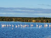 Village Marina - B&B Olhão