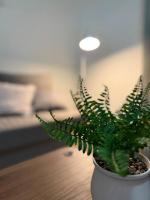 Simple & Sweet Mango Hill Home - Big Patio - B&B North Lakes