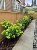Seattle-Queen Anne--7 BR 3 BA--One Block to SPU - B&B