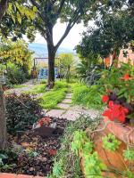 Le Magnolie Paliano appartamento 120 mq - B&B Paliano