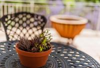 Luxury suite near Church Street - B&B Stellenbosch