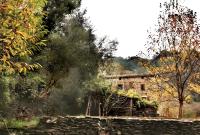 La Franquerie, calme et nature au cœur des Cévennes - B&B Saint-Paul-la-Coste