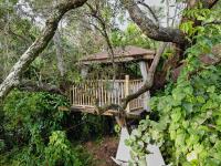 Miami Pool Cottage, tropical garden paradise - Chambres d’hôtes