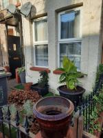 Home away from Home - Chambres d’hôtes Londres