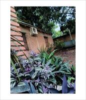 Entre Mangos y Tucanes - B&B Calilegua