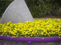 Molino la Tebaida - B&B San Martín