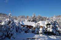 Відпочинково- оздоровчий комплекс ОПАКА з форельником - B&B Skhidnytsya