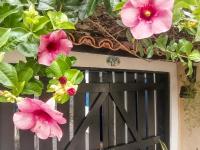 Casa 12 Búzios Vilas a 500m da Rua das Pedras, top localização em condomínio lindo e calmo, portaria 24h - B&B Armação dos Búzios