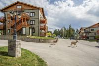 Stylish and comfy 2BR condo near Hot Springs - Bed and Breakfast Radium Hot Springs