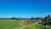 Caravino - Above the Vines - Ferienwohnung Waikakaho