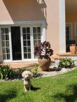 Cantinho da Carminho - B&B Amoreira