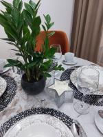 Monte Relax - Wellness Oase - B&B Zlatibor