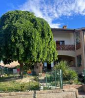 Colle al mare 34 - rooms & bike - affittacamere - B&B