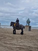 Oostduinkerke View - B&B