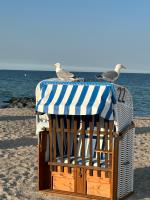 Toplage direkt an der Steilküste - FeWo 2 "Ostseenest" Hohwacht - B&B Hohwacht