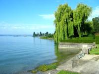 Ferienwohnung Ankerplatz 4 - B&B Immenstaad am Bodensee