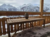 Casa Bolivia - Chambres d’hôtes Grächen