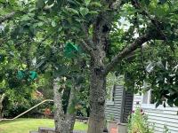 The Incline in Rangaroa - Ferienwohnung Taumarunui