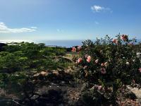 Villa Olimonte - B&B Valverde