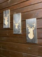 Livata - Campo dell’Osso...nel bosco a 1.700 metri - Ferienwohnung Livata