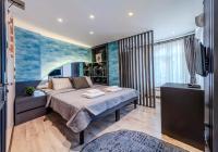 Deluxe One-Bedroom Apartment