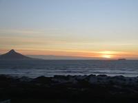 Dolphin Delight - B&B Bloubergstrand