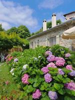 Amanita boutique hotel - B&B
