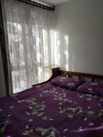 Aleksander ski apartment - B&B Breuil-Cervinia