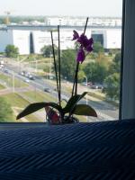 11piętro - B&B Warsaw