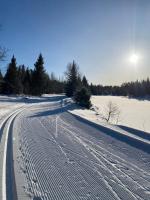 Stuga Parkstigen Funäsdalen - B&B Funäsdalen