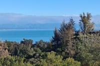 The 'Flax Pod' cabin in Pohara, amazing sea views - Chambres d'hôtes Pohara