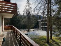 Quadrilocale Alpe Grostè - Serafini - B&B Madonna di Campiglio