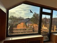 Apartment - auf 2 Etagen