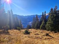 Landhaus Schwarzgütl - B&B Bad Hofgastein