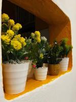 Kasbah Nights Retreat and best breakfast offers - Entire House - B&B