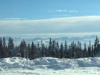 Walk to the beaches and the restaurants downtown! - B&B Kelowna