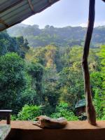 Knuckles Off-Grid Cabin With Waterfall View - B&B Kaduwela