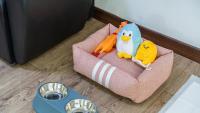 Gapyeong Areuno Pet Pension - B&B