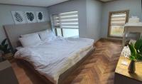 Estudio -1