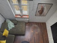 Penthouse Apartment