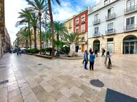 Akasa Flats Santisima Faz - Bed and Breakfast Alicante