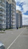 Bela Homes Sabaki Green - B&B