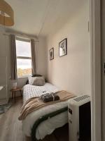 Cozy single room near station - B&B London