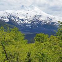 Conguillio Lava Cave - B&B Melipeuco