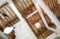 DANDOLO-Terrace - B&B