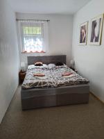 Apartment - Erdgeschoss
