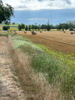 Casa con 1 dormitorio