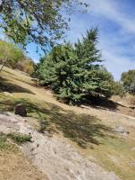 El Atardecer - B&B Oro Grueso