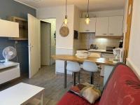 Appartement 2P 4 Pers avec Garage et Animaux Bienvenus - FR-1-251-848 - Ferienwohnung